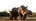 Rockwood conservation wildlife photography